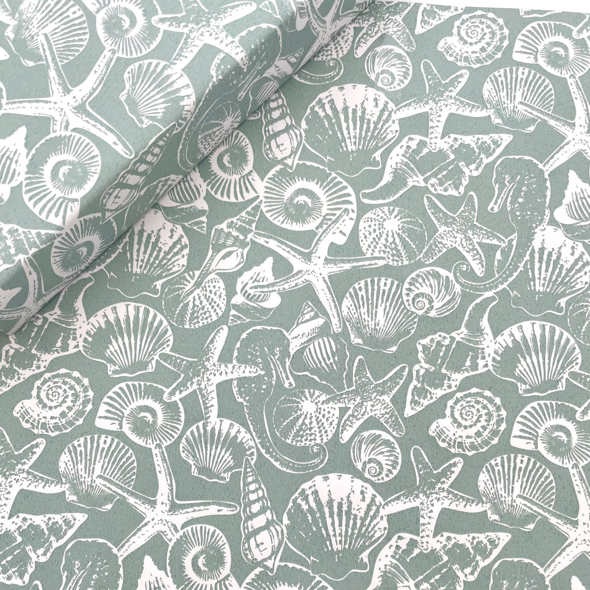 Coquillages - Sea Glass