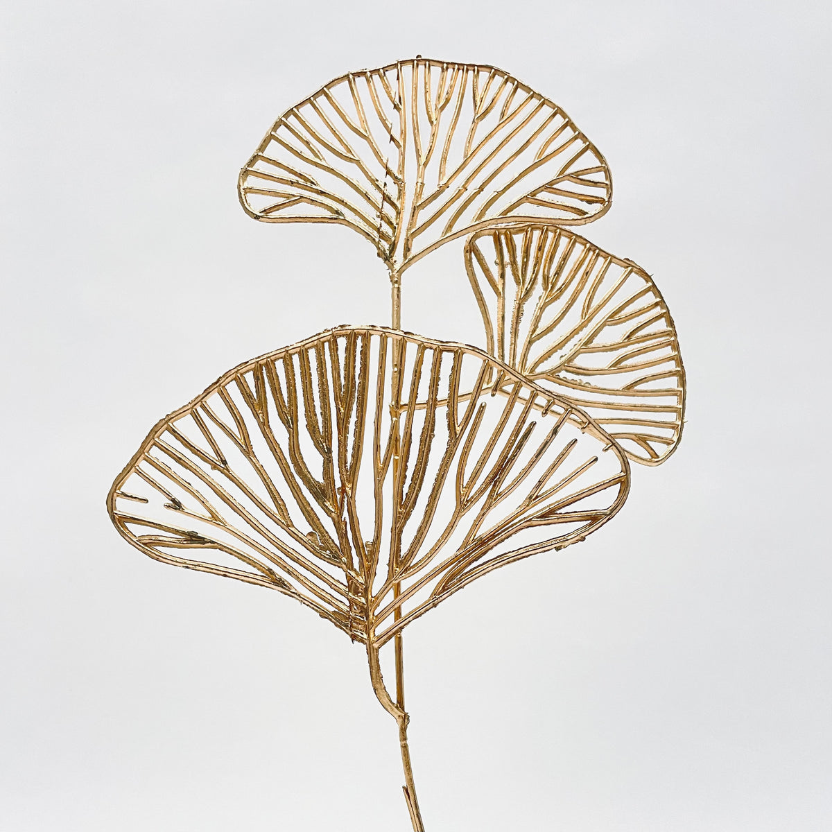 Ginkgo Leaf Spray