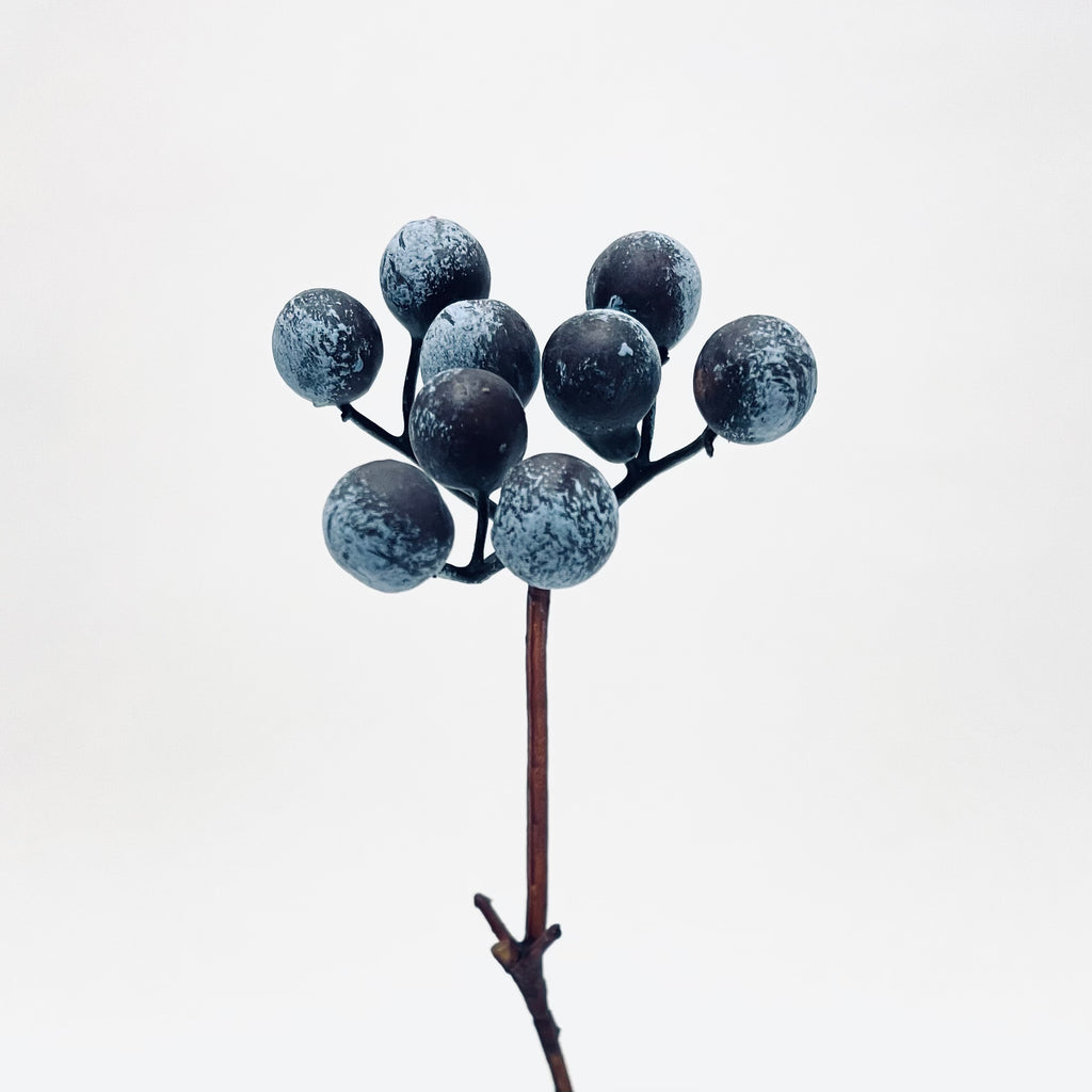 Blueberry Twig Spray