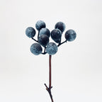 Blueberry Twig Spray