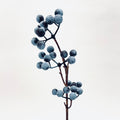 Blueberry Twig Spray