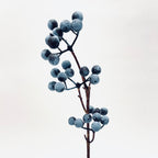 Blueberry Twig Spray
