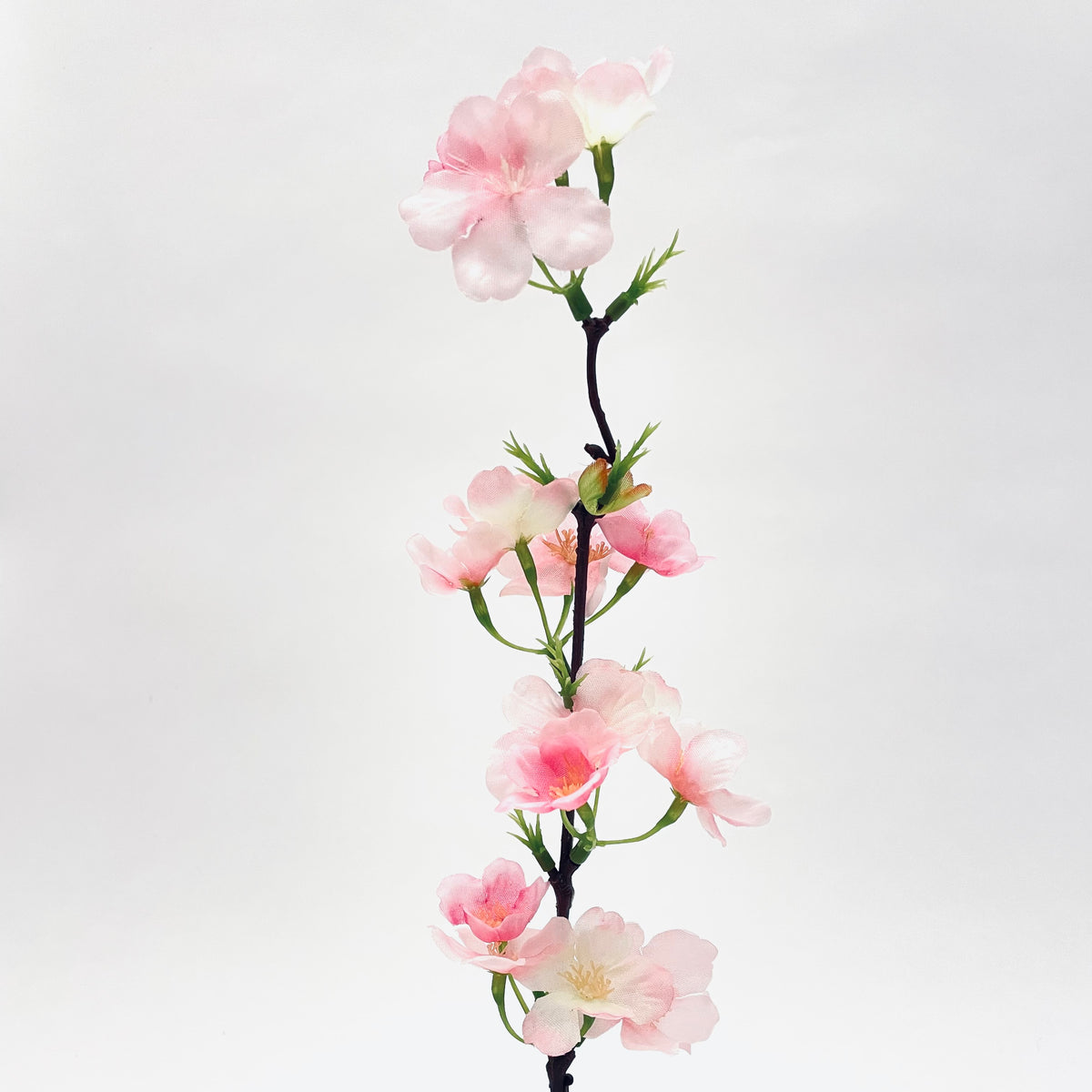 Cherry Blossom Spray Pink