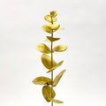 Eucalyptus Leaf Spray Gold