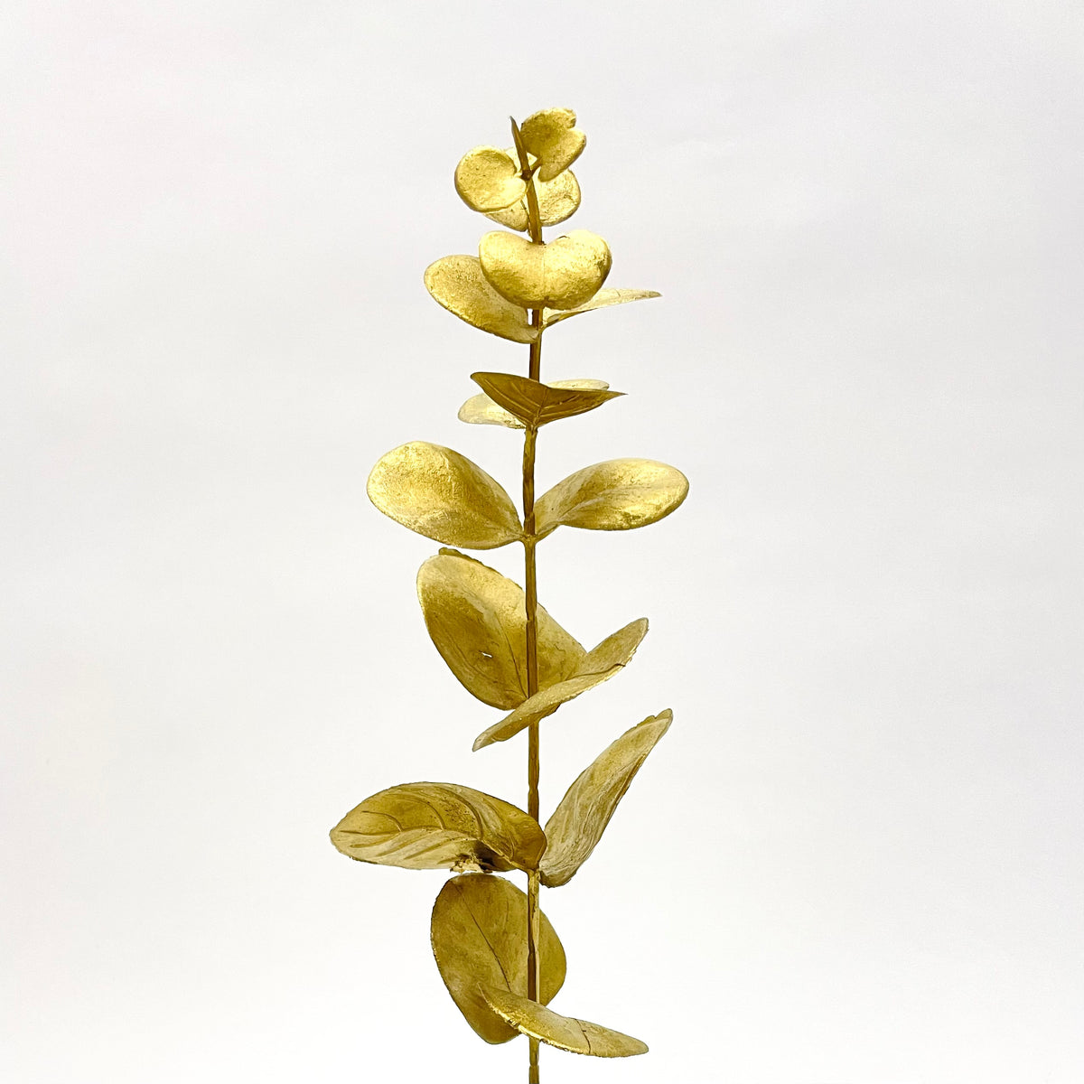 Eucalyptus Leaf Spray Gold