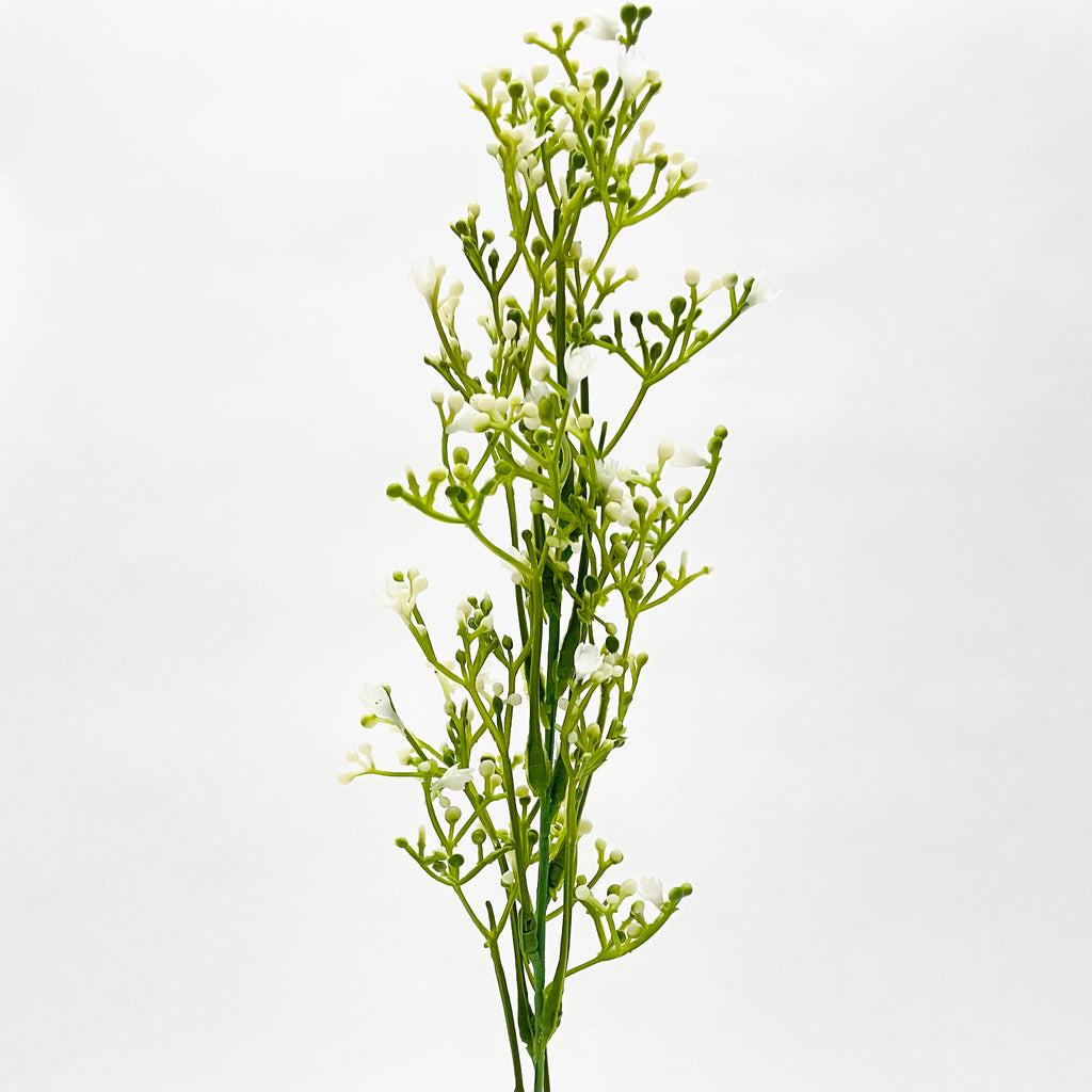 Gypsophila (Baby's Breath) Spray