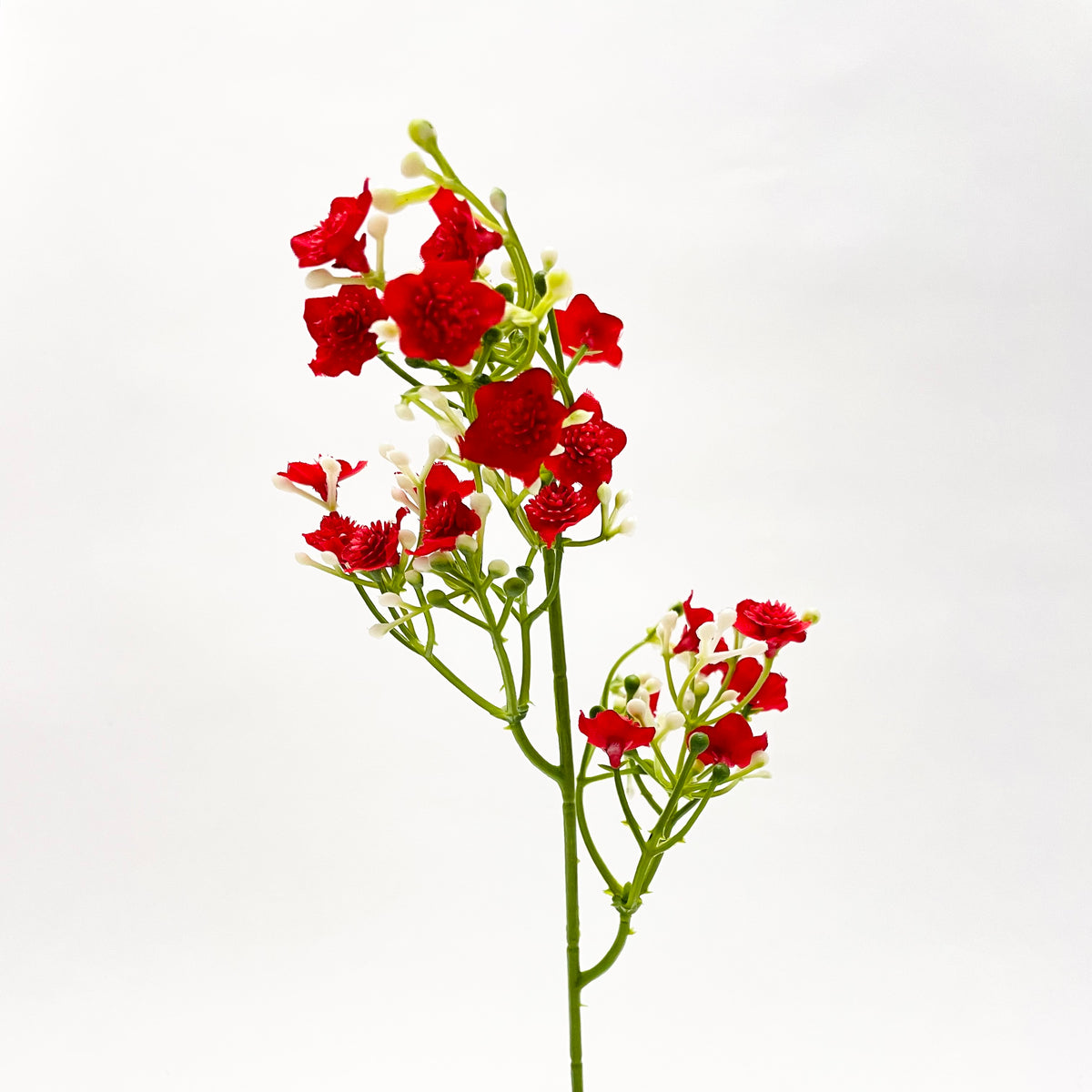 Gypsophila (Baby's Breath) Spray