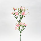 Gypsophila (Baby's Breath) Spray