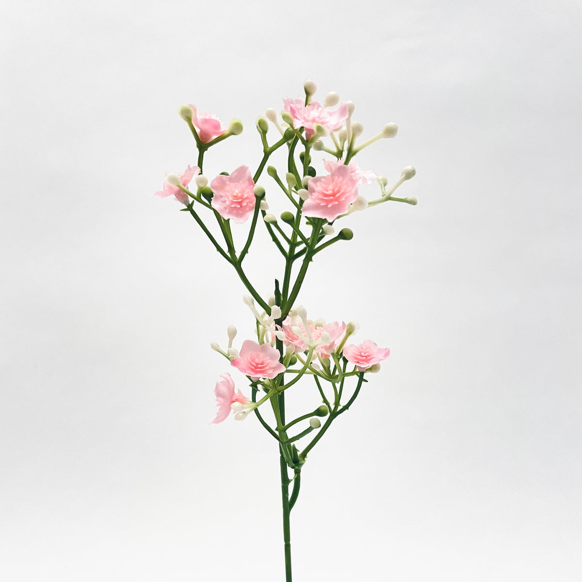 
                  
                    Gypsophila (Baby's Breath) Spray
                  
                