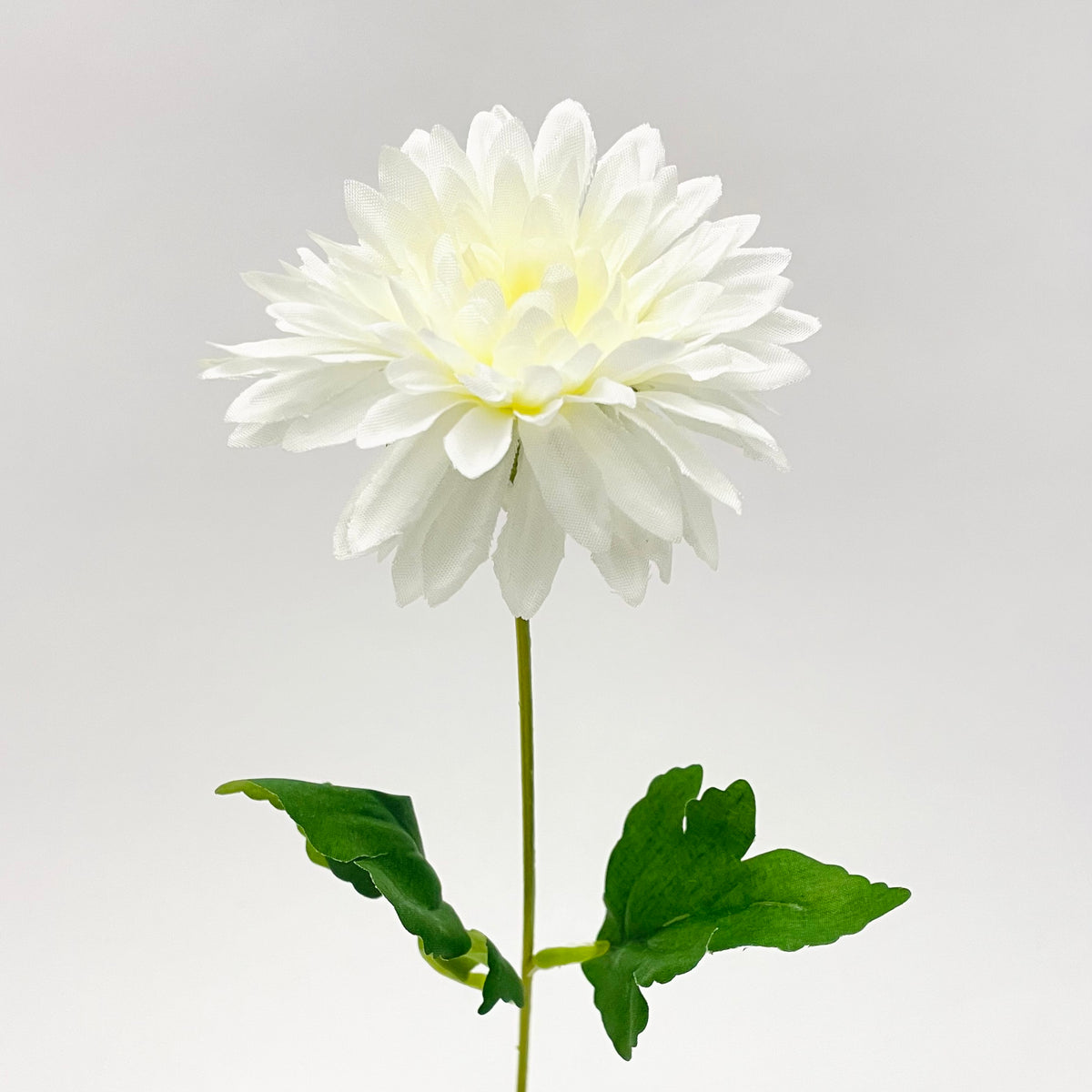 Chrysanthemum Spray White