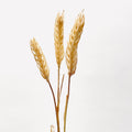 Wheat Head (Bunch of 3)