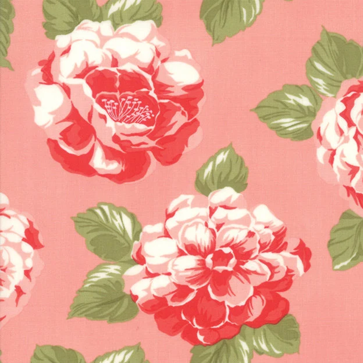 Camille - Reusable Fabric Gift Wrap