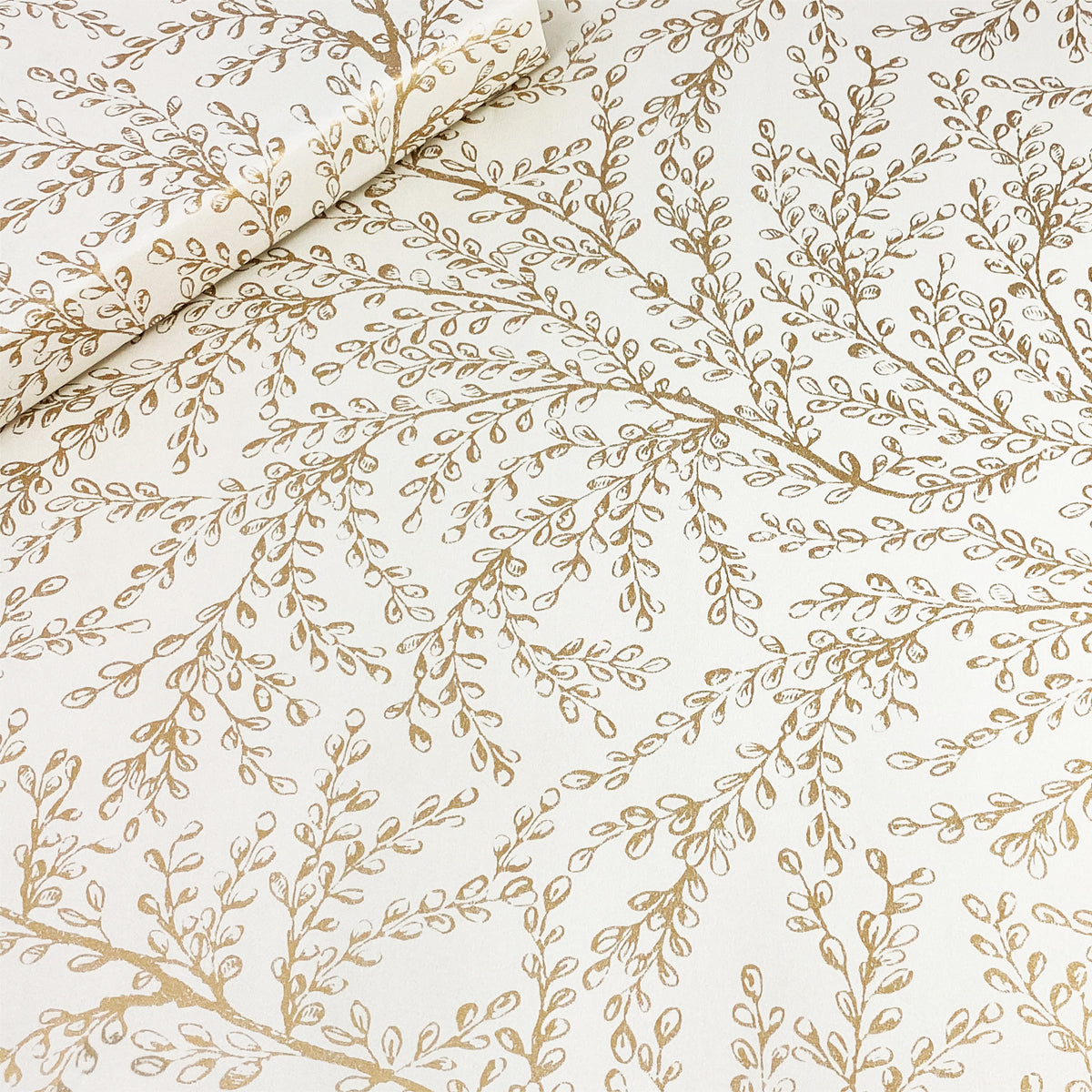 Concorde - Latte/Gold